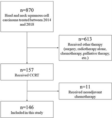 Treatment Outcomes and the Safety of Chemoradiotherapy With High-Dose CDDP for Elderly Patients With Head and Neck Squamous Cell Carcinoma: A Propensity Score Matching Study
